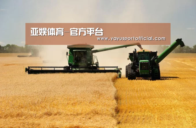 产品名称八(图1)