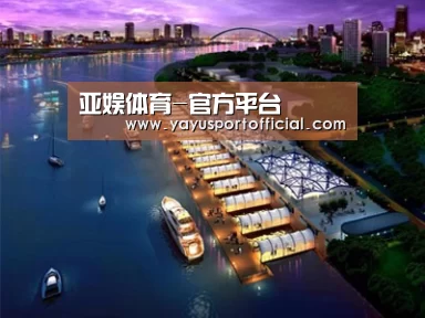 案例展示八