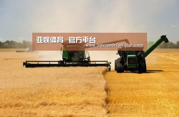 产品名称八
