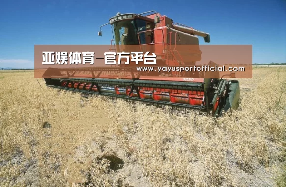 产品名称三