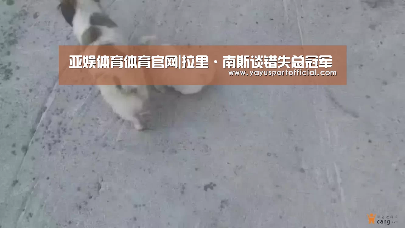 亚娱体育体育官网|拉里·南斯谈错失总冠军(图3) 亚娱体育体育官网